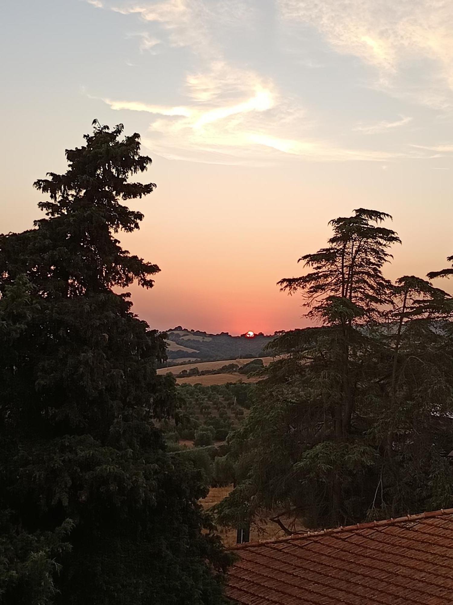 B&B Terramare Montiano  Esterno foto